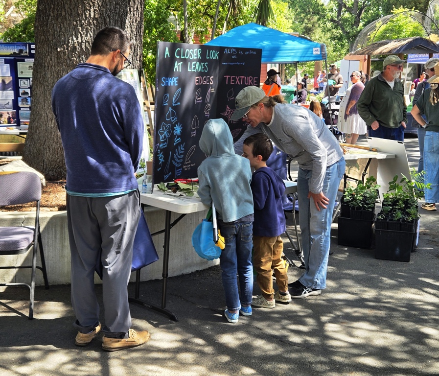 Meg helping kids look "close up" at the Leaf Table